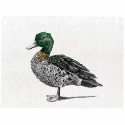 Maxwell And Williams Marini Ferlazzo Birds Tea Towel 50cm X 70cm - Chestnut Teal Duck