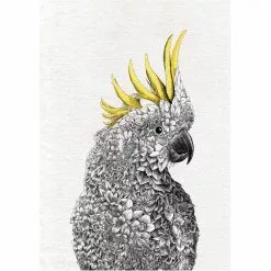 Maxwell And Williams Marini Ferlazzo Birds Tea Towel 50cm X 70cm - Cockatoo