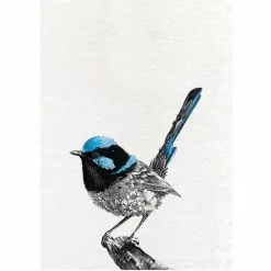 Maxwell And Williams Marini Ferlazzo Birds Tea Towel 50cm X 70cm Superb - Fry-Wren